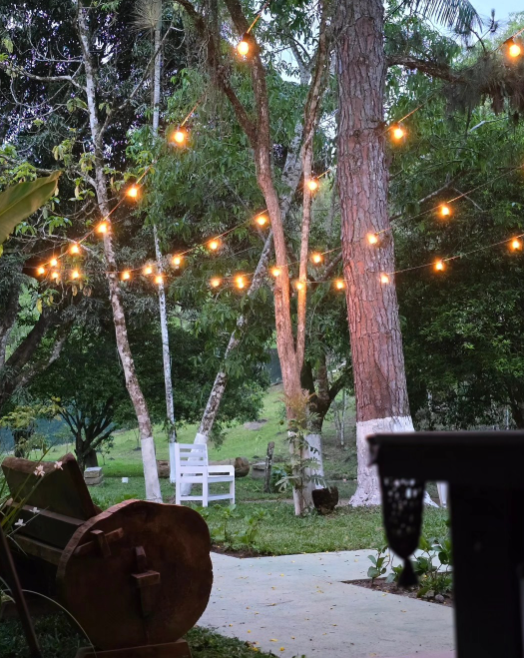 Jardim Iluminado, Atmosfera acolhedora
